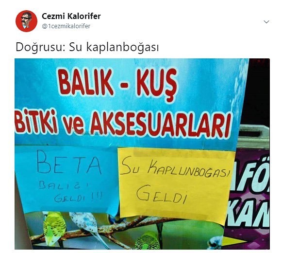 SU KAPLUNBOĞASI
...