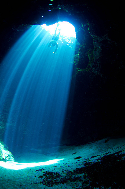 thelovelyseas:  Itchetucknee Spring, Blue Hole. Diver: Floriano Putigna by eputigna