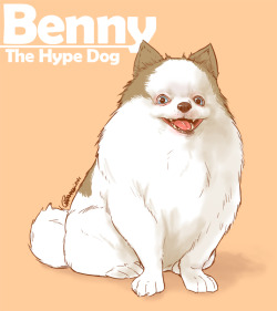 carmessi:  a few days ago sketching some crap i decided to try this, and i draw the most realistic dog of my life xD Benny (the most awesome pomeranian) is Maximilian Dood dog    Wow😂😂😂 Maximilian dog Benny&hellip;&hellip;this looks awesome.