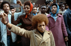 acolorblue:Black Panthers protesting against