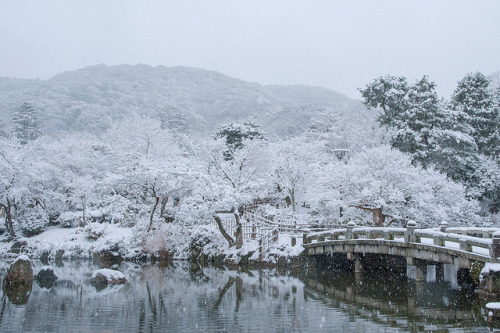japan-overload:円山公園01 by TKBou on Flickr.