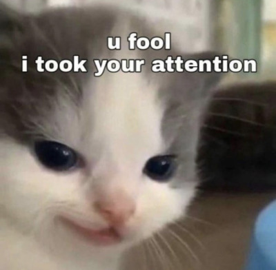 peach-cream-yukio:Lil guy photo dumpThese are top tier I am in love with this lil