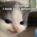 peach-cream-yukio:Lil guy photo dumpThese are top tier I am in love with this lil