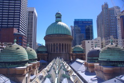 QVB rooftop