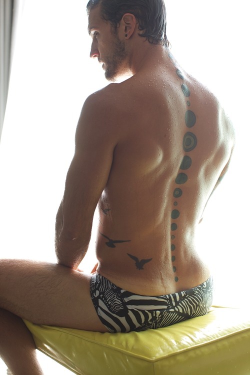 dashboardbutts:  Dashboard Butts: Shy Butts Series For more hot butts follow: Dashboard