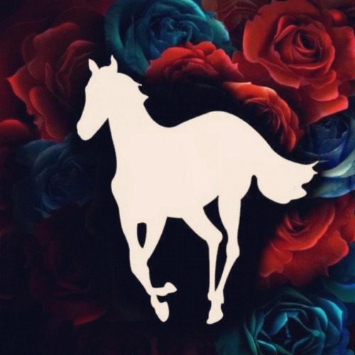 deftones white pony adult photos