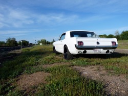 66mustang-project:  Bought some used tires