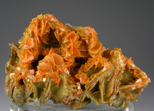 jetgreguar:  bijoux-et-mineraux:  Wulfenite - Kuruktag Mts, Xinjiang, China   doritos crystals revealed 