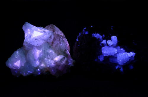 Terlingua Calcite on the left and  fluorapatite from Wana, South Waziristan, Khyber-Pakhtunkhwa (for