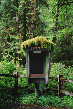 Vhord:  Sea-Glasses:  Plasmatics-Life:  { Moss Monsters } X Danielle Hughson   It’s