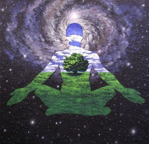 tarassein:  ૐSunshine Daydream, walking in the tall trees. on We Heart It. 