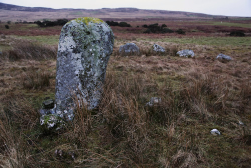 thesilicontribesman:Glenquicken Stone Circle, nr Creetown, Dumfries and Galloway, Scotland, 2.1.18.A