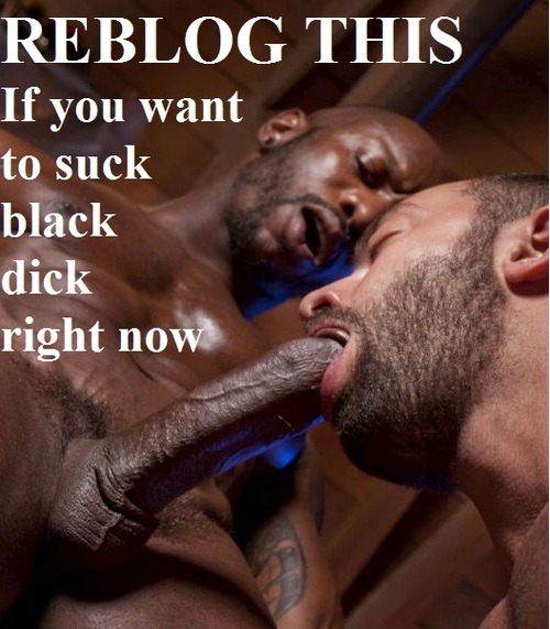 shauny66:  Love to suck cock