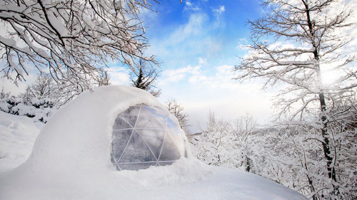 timetravelingowl:archatlas:Garden IglooGarden Igloo is both weatherproof and rust resistant, 100% re