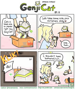 genji-cat:  Overwatch cats are strange and