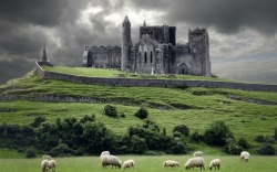 pagewoman:Rock of Cashel (Carraig Phádraig),