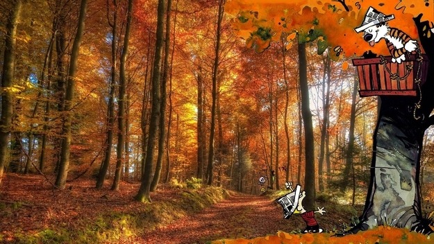buzzfeed:  Real World: Calvin and Hobbes. 