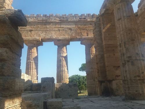 ancientgreecebuildings:Paestum - Temple of Poseidon (a.k.a second temple f Hera)Built in the mid-5th