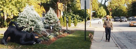 xlupik:  video: Giant Cat Lawn Decoration Freaks Out Dog