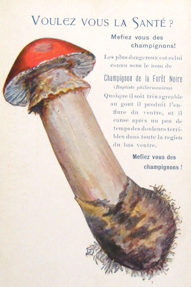 weirdvintage:  Vintage French mushroom illustration with innuendo-laden caption: