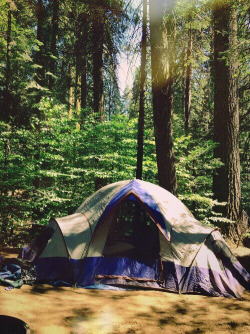 thelittlemonsterus:  🌲✨ sur We Heart It. 