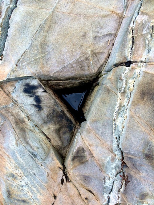 brofligate: Hiked around a bird sanctuary for a geology assignment. Some person had made dozens and 