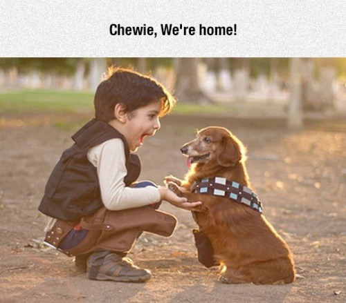 lolshtus:  The Cutest Han Solo And Chewie Cosplay