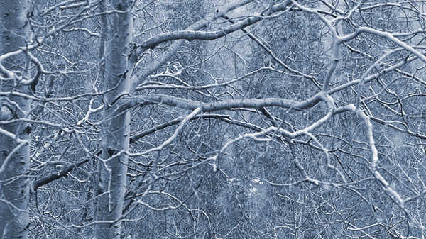 f43e5f33ad882357cc84faf8b74be06b7f586c59.gif