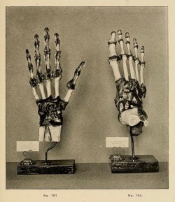 nemfrog:  Hand and foot models. Catalogue