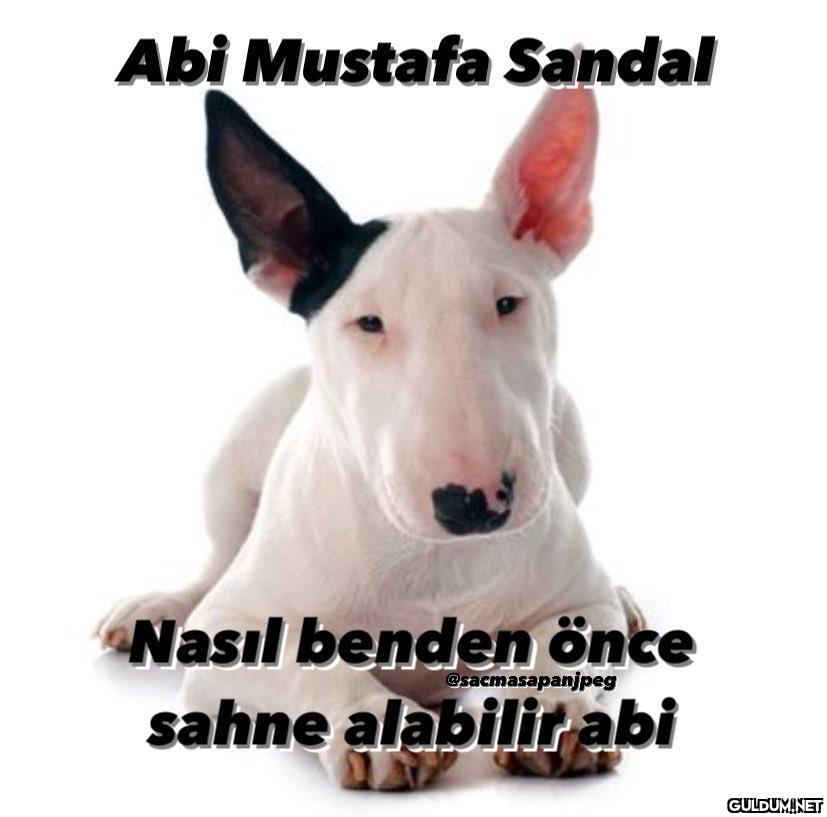 Abi Mustafa Sandal Nasıl...