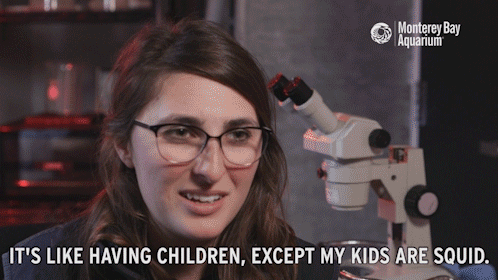 entropy-and-inkblots: montereybayaquarium:  Ever wonder what life is like as a cephalopod
