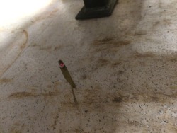 reddlr-trees:  We dropped the blunt yesterday and it landed like this.