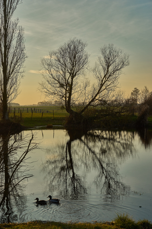 roubinoff-photos-normandie: Ordinary landscape from Eure Paysage Vallée d'Eure 15 mars 2