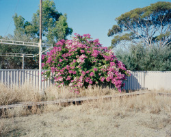 simondeadman:  Abandoned Bowling Club, December 2015 