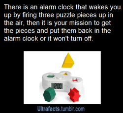 seyvetch:  iamanemotionaltimebomb:  ultrafacts:  vancity604778kid:  artificial-admin:  ultrafacts:  Source See more facts HERE  ultrafacts:  Source See more facts HERE  mY CHILDHOOD FEAR WAS A GAME LIKE THIS  There is also one called “Clocky”, an