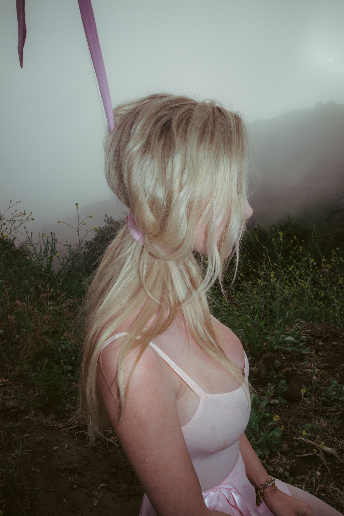 themichaeldonovan2: