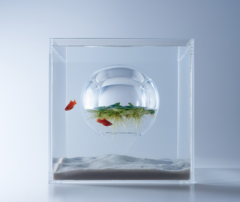 thre3f:  Sculptural Fish Tanks by Haruka Misawa 