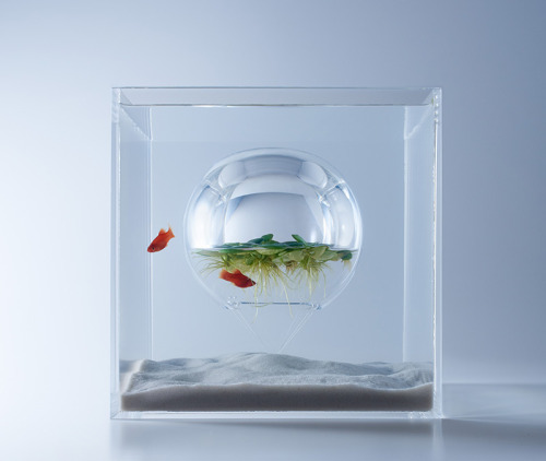 XXX 88floors:  Minimalist Aquariums Filled With photo