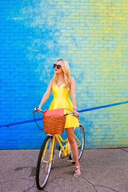 Canary Yellow Beauty