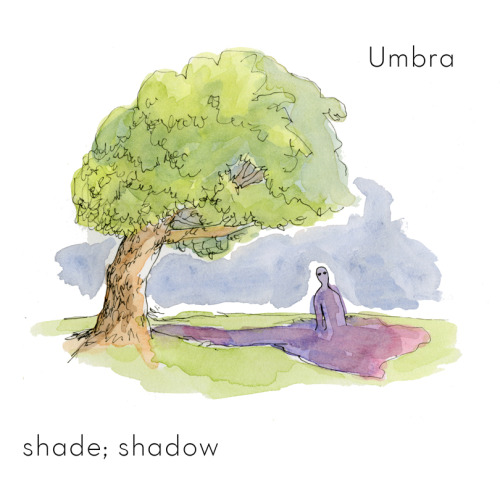 Word of the Day!Umbra: shade; shadow
