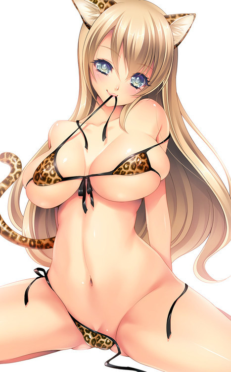 midnightecchioverdrive:tables-rule1 sent a random one. Kitties with Titties. ~~Wolfie