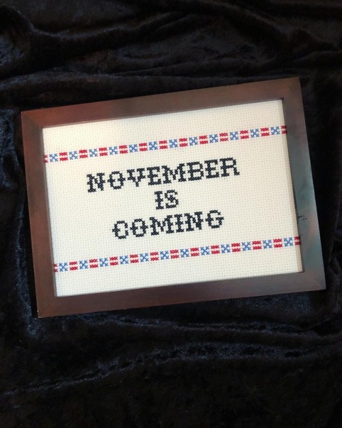 Friendly Reminder (Pattern by @subversivecrossstitch) #novemberiscoming #vote #vote2018 #bluewave #