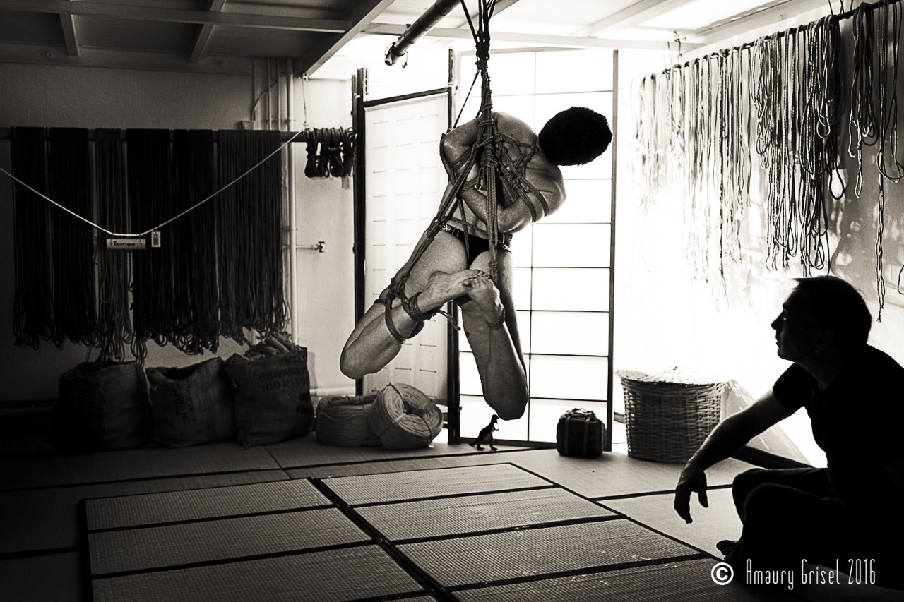 amaury-grisel-shibari:  Avalon &amp; miaoumi performing for the photo-workshop