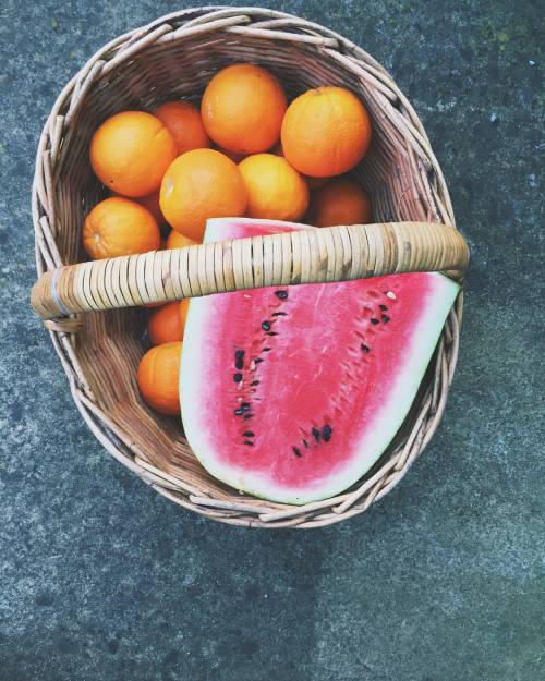 Goodies from the farmers market (at Collingwood Children&rsquo;s Farm)