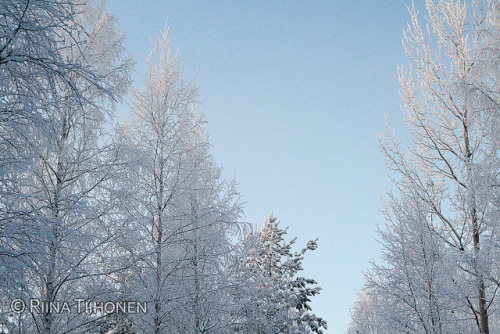 Porn Pics breathtakinglandscapes:  Icy trees and the