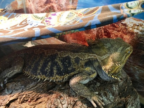 So Lumpy And Grumpy