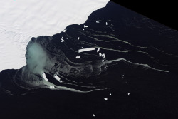  Mackenzie Bay, Antarctica NASA 