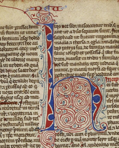 Puzzle initial H from fol. 60v of Ms. Codex 1053, a 13C Vulgate Bible. Fun info from our collections