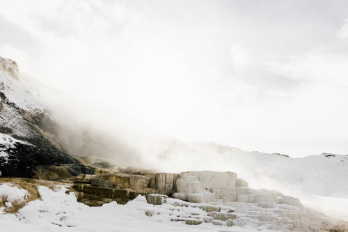 arthurchang:  Steamy Winter Scenes Mammoth Springs, Yellowstone National Park // Sony RX1r Yellowstone is pretty locked down from normal car travel during the winter time. Nevertheless, there is still endless amounts of things to see and experience. I