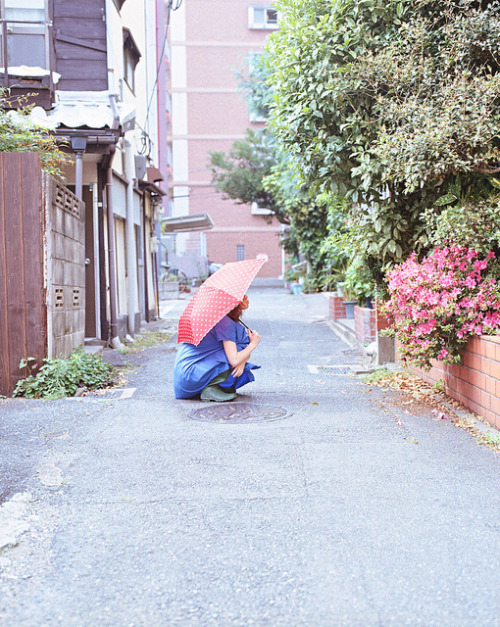 ileftmyheartintokyo: 雨待ち by baku* on Flickr.